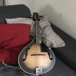 Beautiful Affordable Mandolin