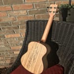 Gorgeous Instrument!!!