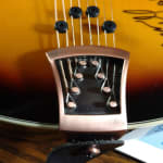 Not cheap! Inexpensive starter mandolllin