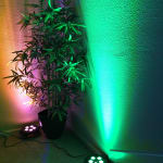 I would buy this product again.