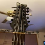 Great Sounding 12-string Bass