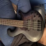 Great Sounding 12-string Bass