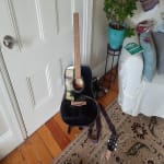 AVOID BUYING A MITCHELL GUITAR AT ALL COSTS!