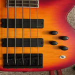 Amazing Pickups, But Bot For Everyone.