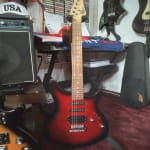 This Rogue guitar is my newest and most favorite!