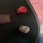 I've been looking at Acoustasonics since they first came out