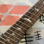 Awesome guitar, amazing price point.