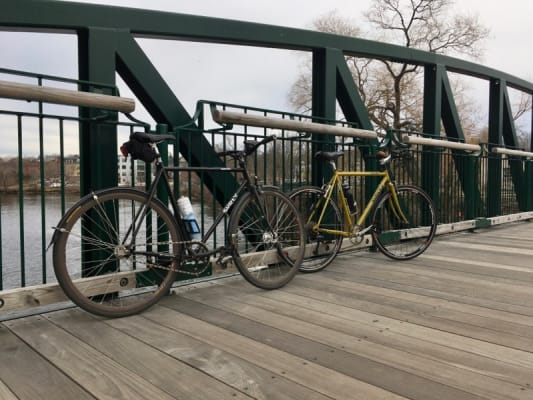 surly cross check stone ground mustard