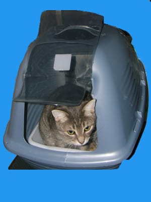 big lots cat litter box
