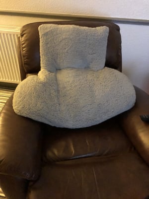 Downland Fluffy Fleece Back Rest Pillow Downland Fluffy Fleece Back Rest Pillow