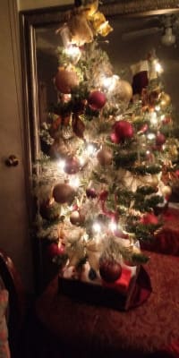 3 Mini Pre Lit Cashmere Christmas Tree Big Lots