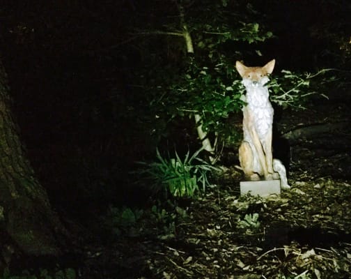 Lifesize Noble Fox Garden Statue Wind And Weather