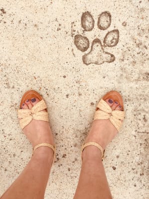 bass top sider shoes