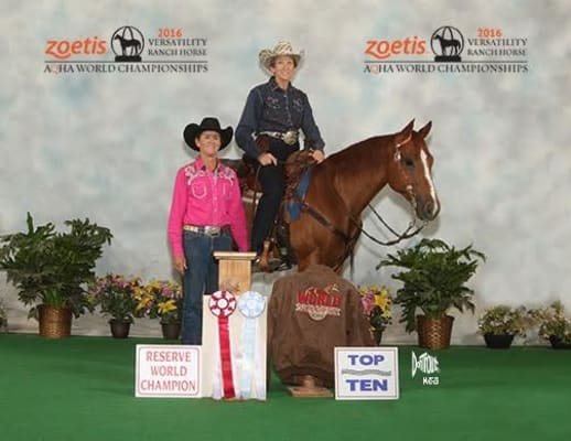 wrangler q baby cool vantage