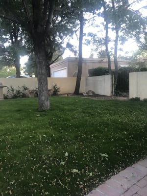 No Mow Lawn Grass Seed High Country Gardens