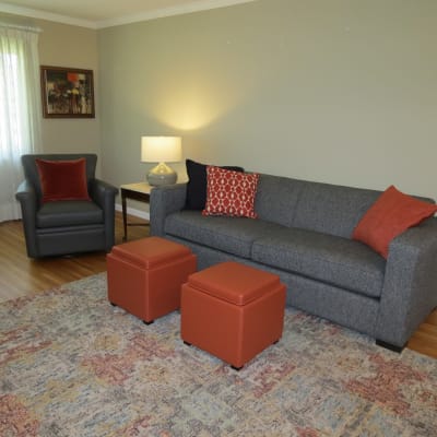 Ian Sofa Modern Sofas Loveseats Modern Living Room Furniture