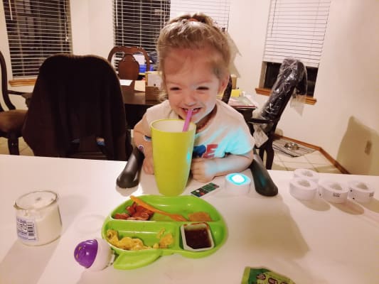 inglesina fast table chair washing