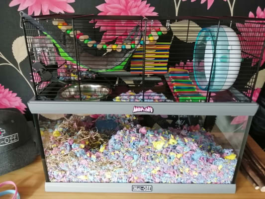 ferplast gabry 80 gerbil cage