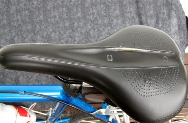 bontrager nebula saddle