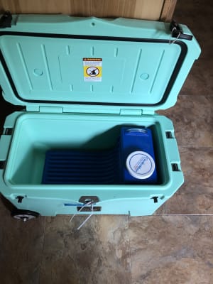 bjs nice cooler