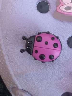 ladybug jibbitz