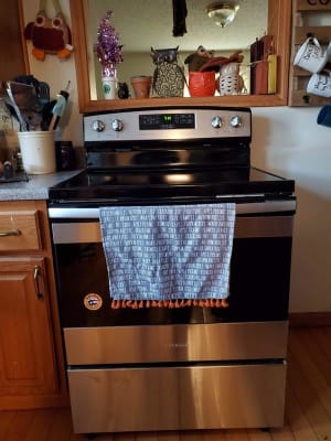 Amana Aer6303mfs 4 8 Cuft Freestanding Radiant Electric Range In