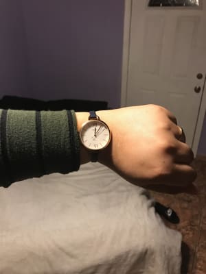 fossil annette strap