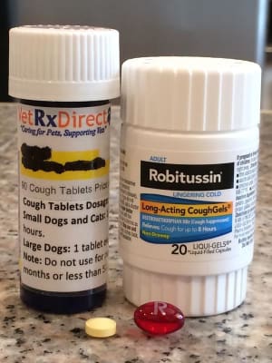 robitussin for dogs