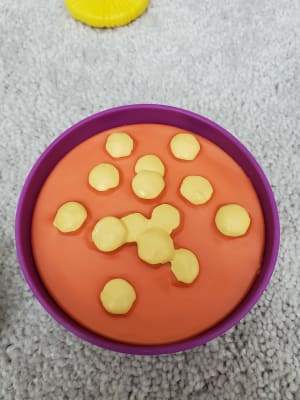 new sprouts classroom play food set