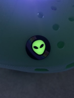 alien jibbitz