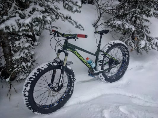 sunshine kenda fat bike