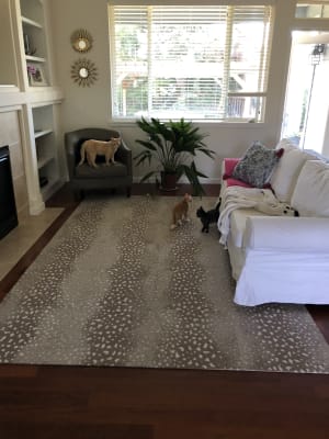 Doe Re Mi Pebble All Area Rugs Carpet Tiles By Flor