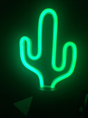 Polaroid Neon Green Cactus Led Bluetooth Speaker Big Lots