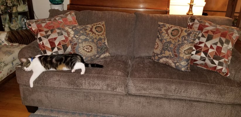 Simmons Bellamy Taupe Sofa Big Lots