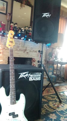 pv118d powered subwoofer