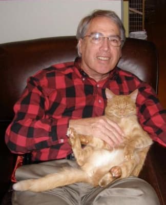 Hill S Prescription Diet Hypo Treats Feline Treats