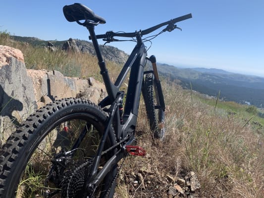 trek powerfly lt 9.9 plus 2019