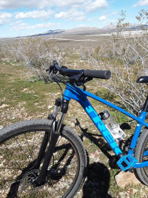 Trek Marlin 5 City Cycle