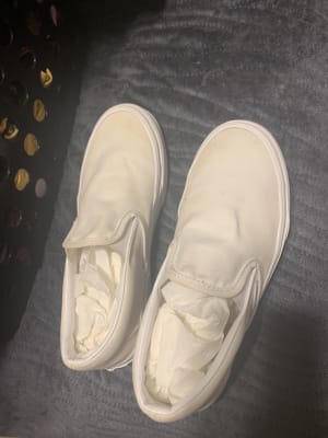 water and stain shield vans review