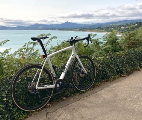 trek domane slr 7 2019