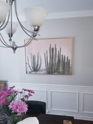 Cactus With Gold Frame World Market