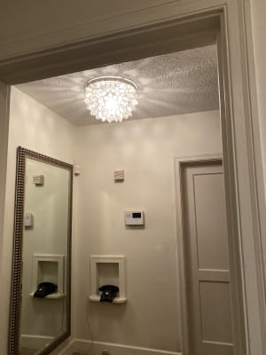 Capiz Petal Flush Mount Ceiling Light World Market