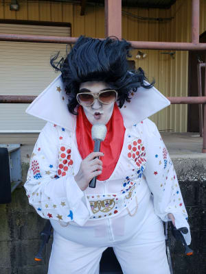 Elvis wig near me
