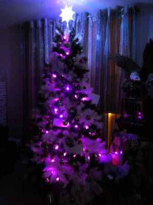 Zebra Striped Christmas Tree Treetopia