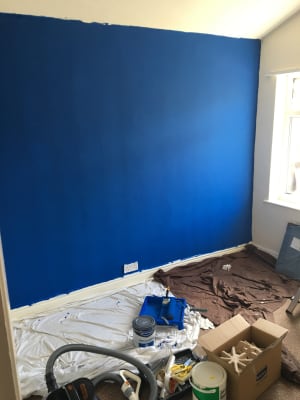 Wickes Royal Sapphire No 950 Vinyl Matt Emulsion Paint 2 5l