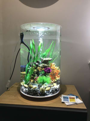 tube fish tank
