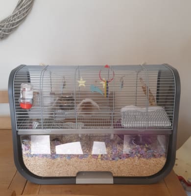 savic lugano gerbil cage