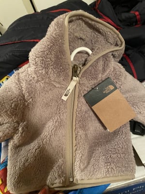 north face campshire bear hoodie