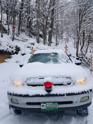 Reindeer Car Kit Reindeer Car Antlers Party City