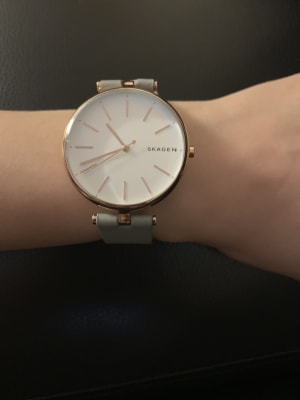 skagen t bar watch